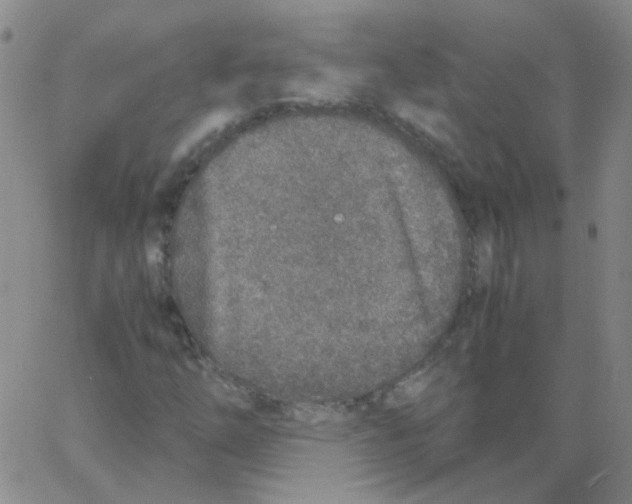 X0000062671254200601181852