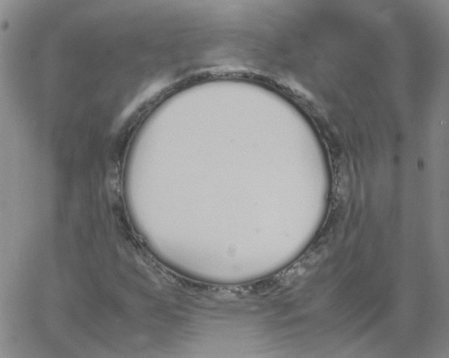 X0000062671255200601181852