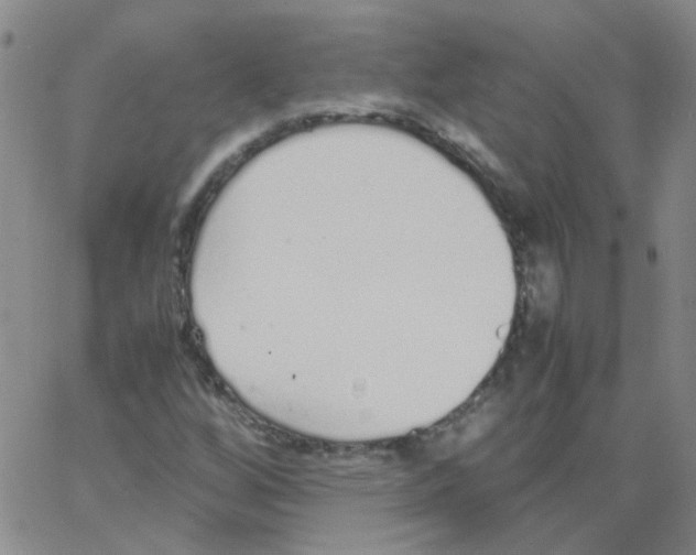 X0000062671256200601181852