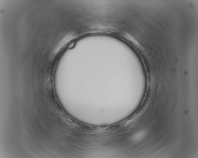 X0000062671259200601181852