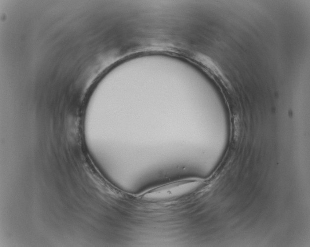 X0000062671260200601181852