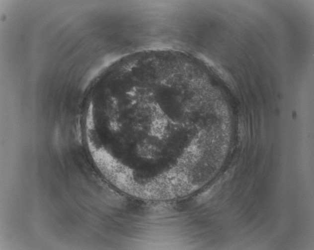 X0000062671262200601181851