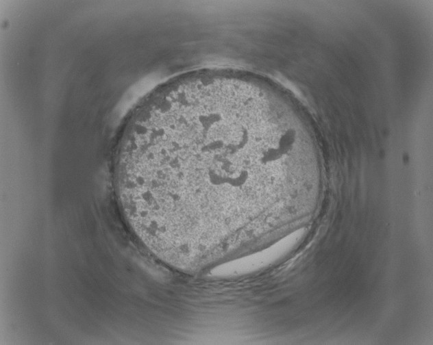 X0000062671263200601181851