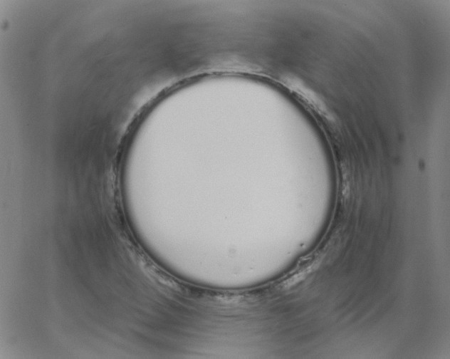 X0000062671264200601181851