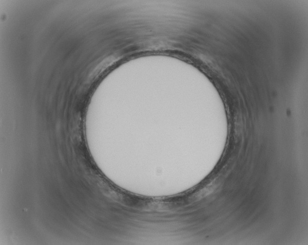 X0000062671265200601181851