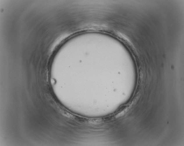 X0000062671267200601181851