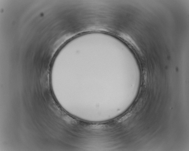 X0000062671268200601181851