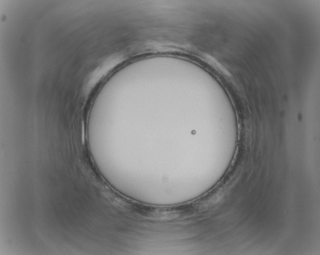 X0000062671269200601181851