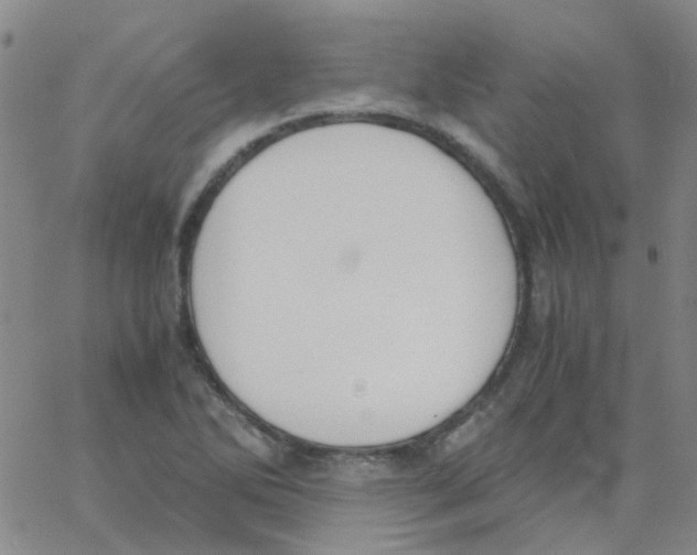 X0000062671270200601181851