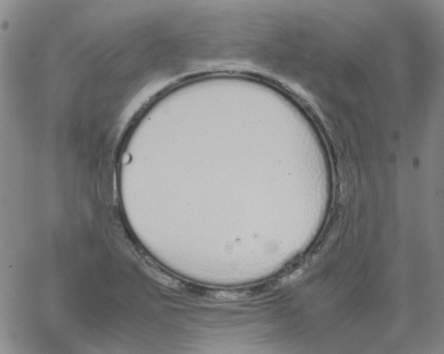 X0000062671271200601181851