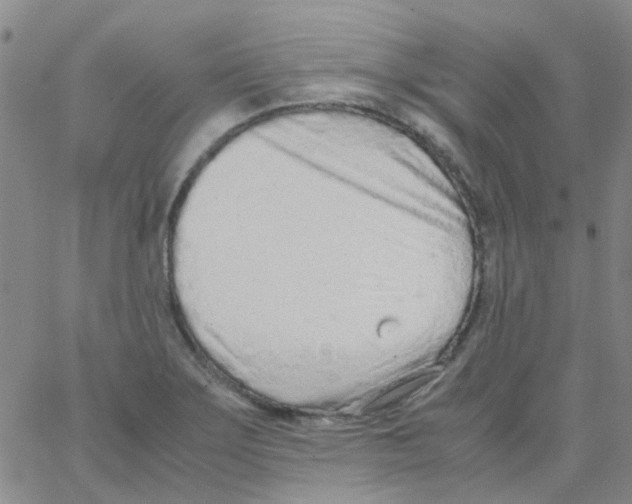 X0000062671275200601181851