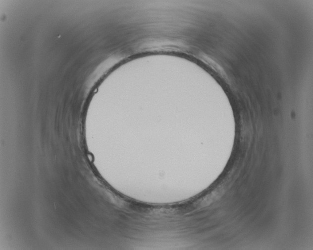 X0000062671277200601181851