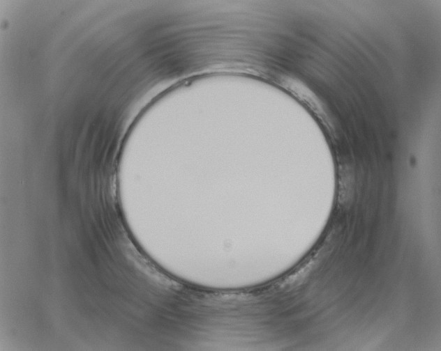 X0000062671284200601181851