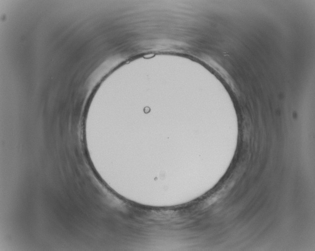 X0000062671285200601181851