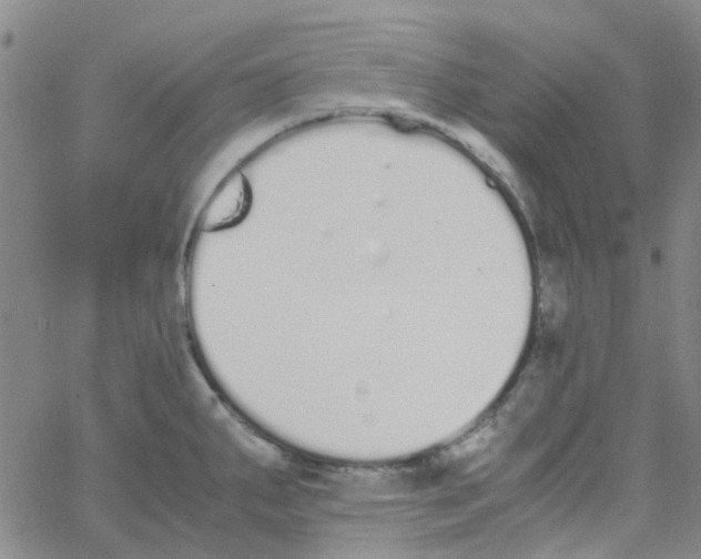 X0000062671287200601181851