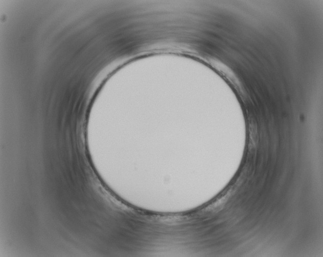 X0000062671288200601181851