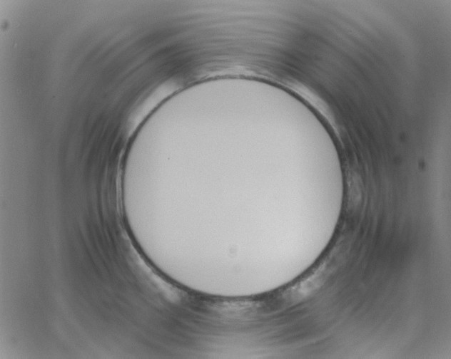 X0000062671290200601181851