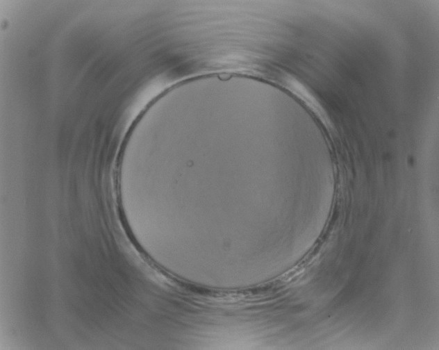 X0000062671291200601181851