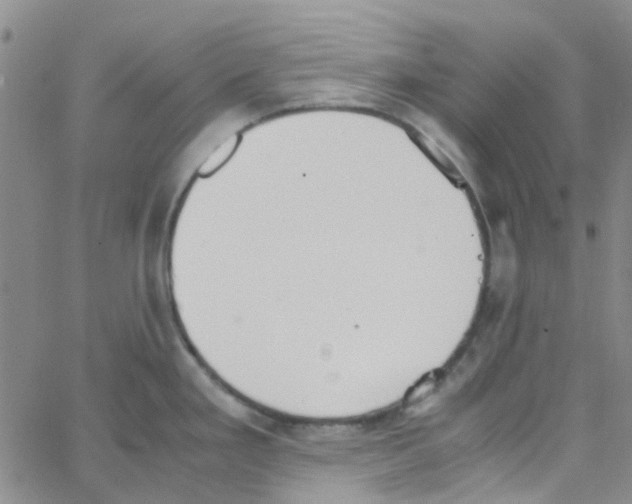 X0000062671293200601181851