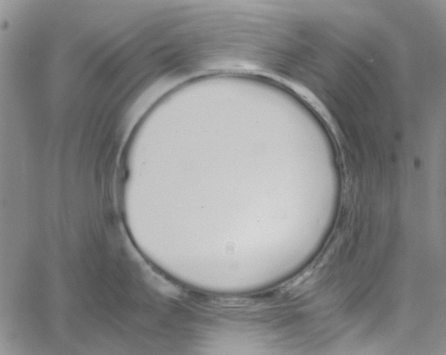 X0000062671295200601181851