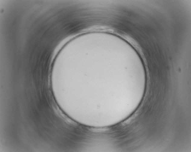 X0000062671296200601181851