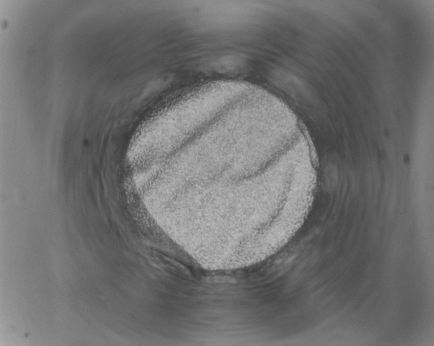 X0000062671297200601181850