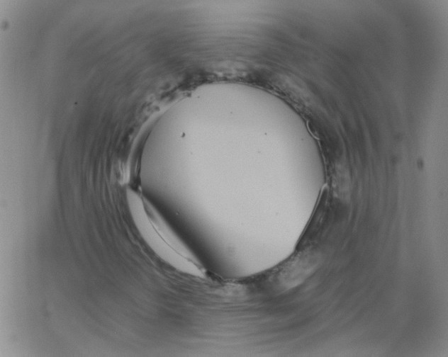 X0000062671298200601181850