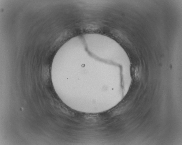 X0000062671299200601181850