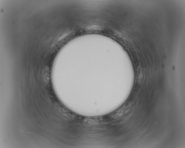 X0000062671301200601181850