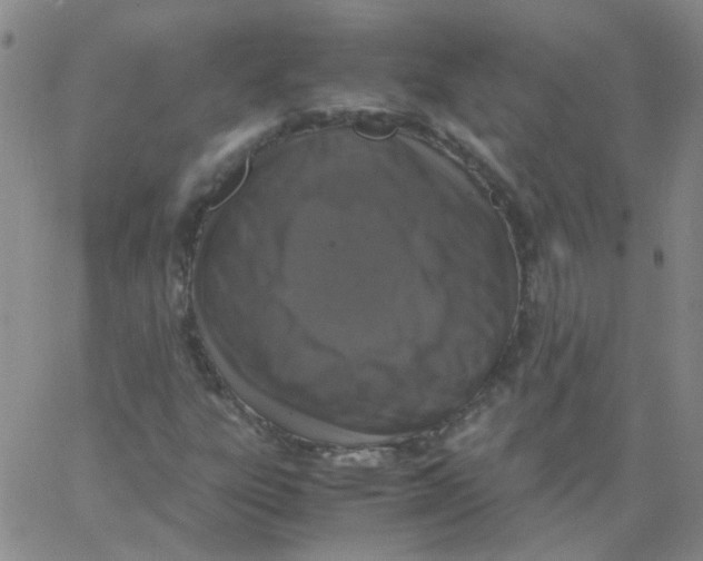 X0000062671303200601181850