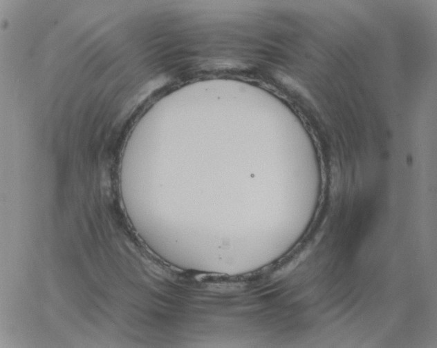 X0000062671305200601181850