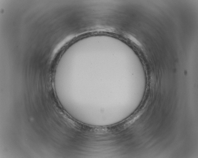 X0000062671310200601181850