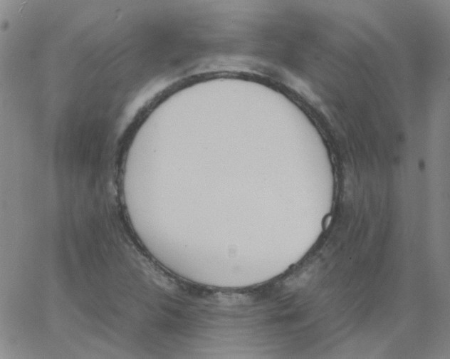 X0000062671312200601181850