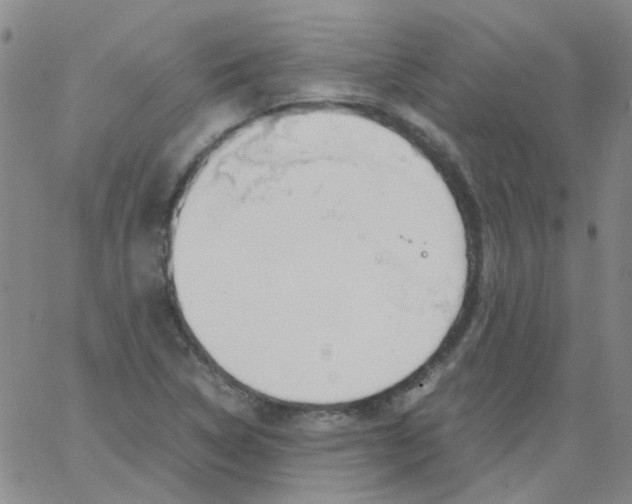 X0000062671314200601181850