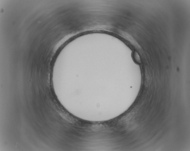 X0000062671316200601181850