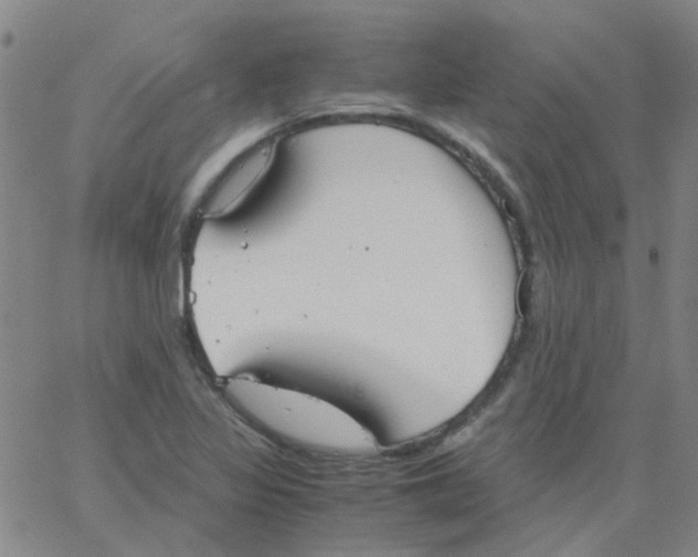 X0000062671317200601181850