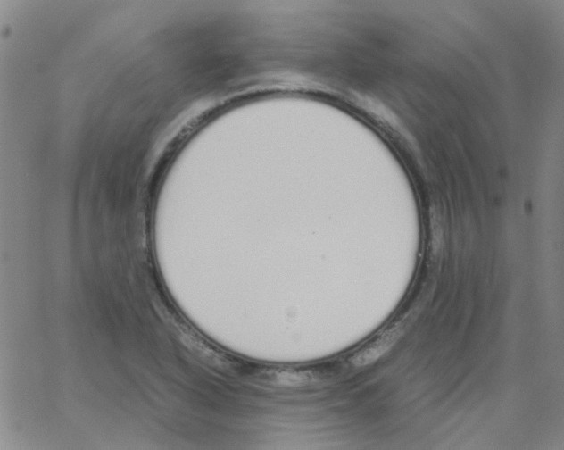 X0000062671318200601181850