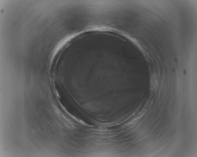 X0000062671319200601181850