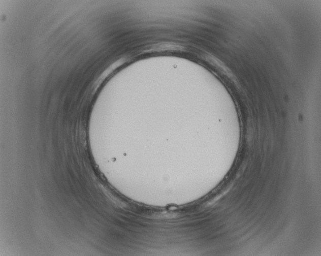 X0000062671321200601181851