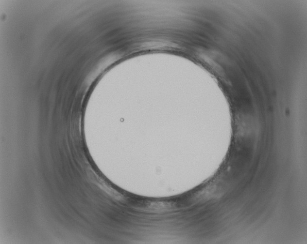 X0000062671322200601181851