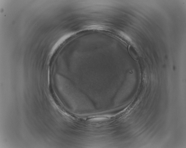 X0000062671323200601181851