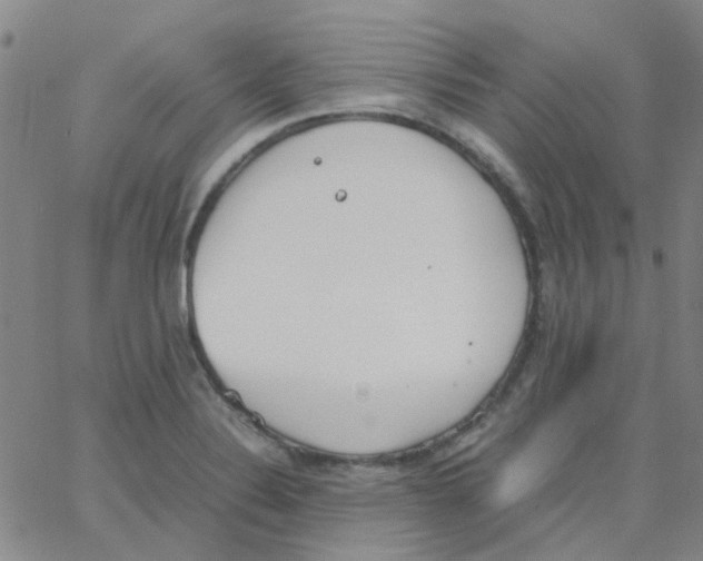 X0000062671324200601181851