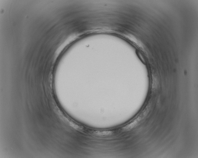 X0000062671325200601181851