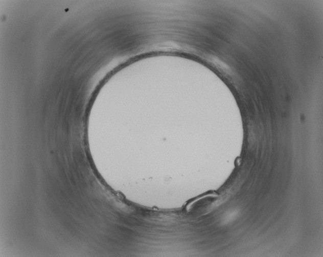 X0000062671326200601181851