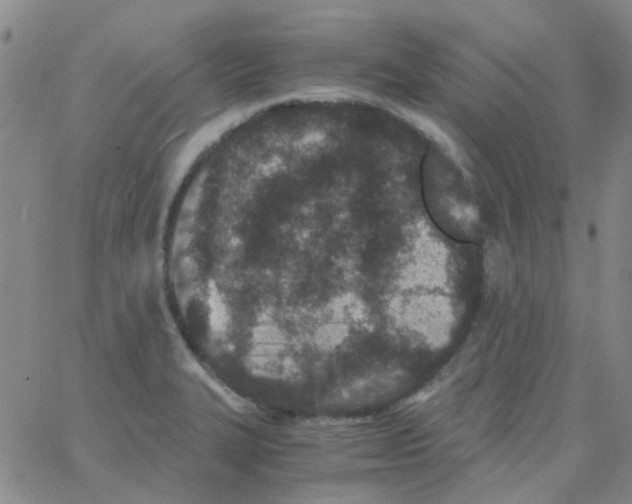 X0000062671327200601181851