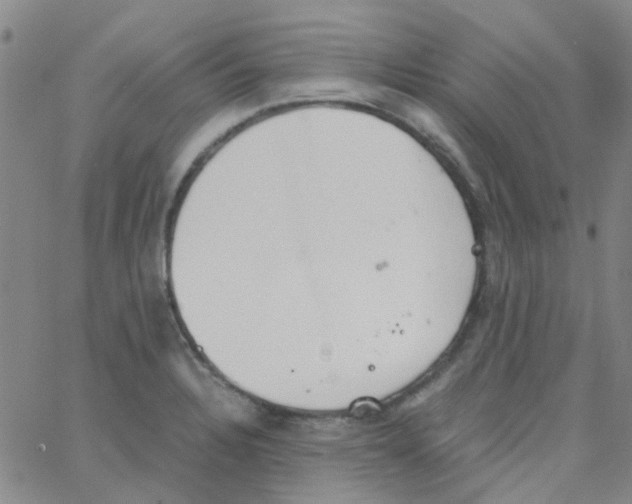 X0000062671328200601181851