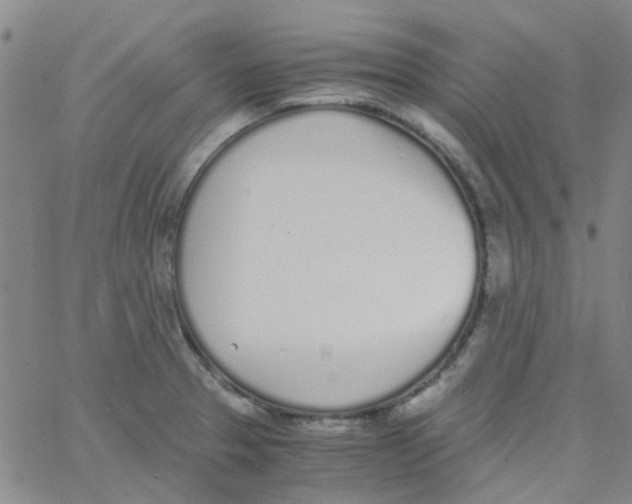 X0000062671329200601181851