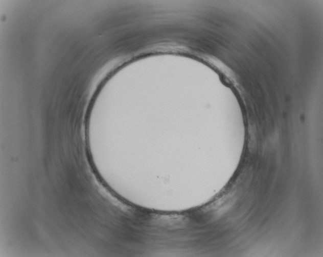 X0000062671335200601181851