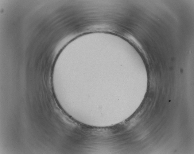 X0000062671336200601181851