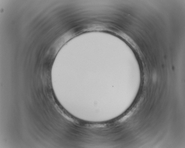 X0000062671337200601181851